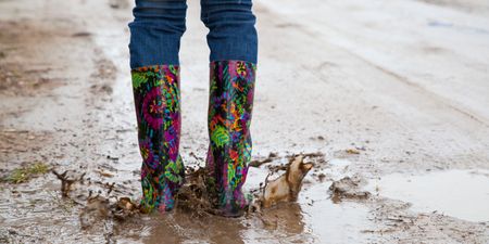 Five things not to miss at this year’s National Ploughing Championship