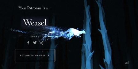 12 people who were NOT happy with the Patronus they got