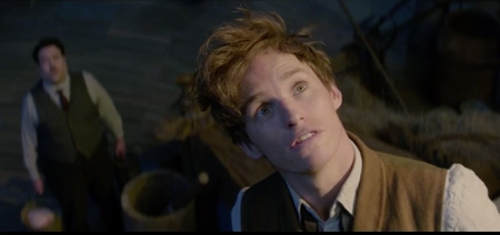 Newt Scamander of Fantastic Beasts was actually in one of the Harry Potter films