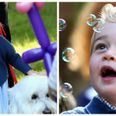 These pictures and videos of George and Charlotte at a children’s party are adorably cute