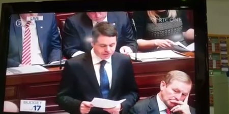 One TD made quite an unusual noise  in the Dáil after the announcement of sheep welfare scheme