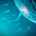 Scientists have created a new male contraceptive that makes men infertile for days