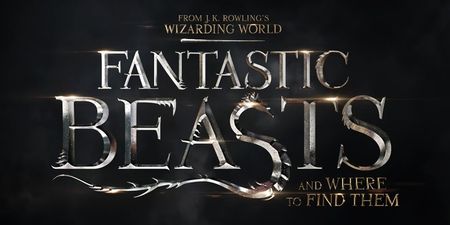 Win a pair of tickets to the European Premiere of Fantastic Beasts And Where To Find Them in London
