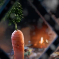 Aldi’s Christmas advert this year is so bloody cute