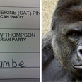 ‘Thousands’ of Americans voted for Harambe and now people are freaking out