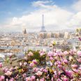 7 unforgettable things you have to do in Paris
