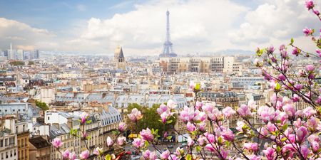 7 unforgettable things you have to do in Paris