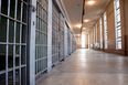 Woman on trial for having sex with a dog brings the dog to court