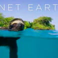 BBC has confirmed that one part of Planet Earth is fake