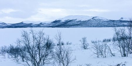 British woman working in Lapland has been stabbed to death