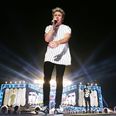 Niall Horan dyed his hair and fans are fawning over it on Twitter