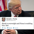 Can you spot the real Donald Trump tweets among these equally ludicrous fake ones?