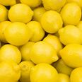 This image of lemons helps women identify signs of breast cancer