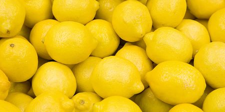 This image of lemons helps women identify signs of breast cancer
