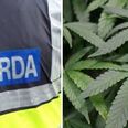 Gardaí seize €200,000 of cannabis in Kerry