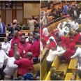 South Africa’s parliament descended into a massive brawl today