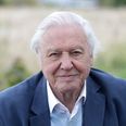 Sir David Attenborough has officially joined Instagram and we couldn’t be happier