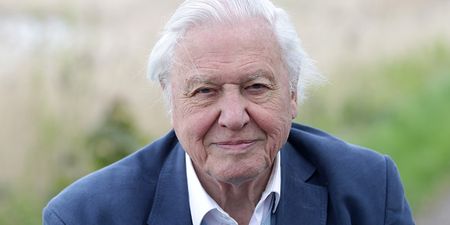 Blue Planet 2 has been announced with David Attenborough narrating