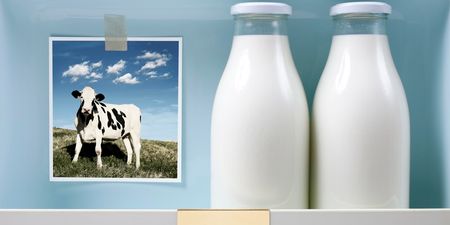 Still keeping milk in the door of your fridge? You really shouldn’t do that…
