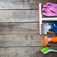Bacteria watch: 7 dirty things to clean in your home immediately