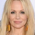 Pamela Anderson asks Taoiseach to ban hare coursing