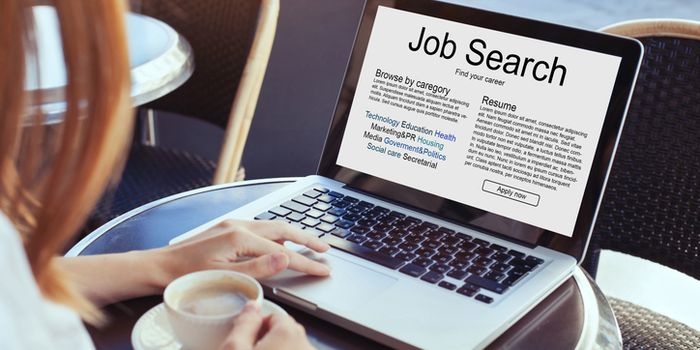 job search concept, find your career, online website