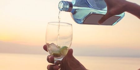 Cancel your holiday: There’s a GIN CRUISE about to set sail from Dorset