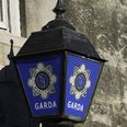 Gardaí make renewed appeal for information on baby’s body found in skip