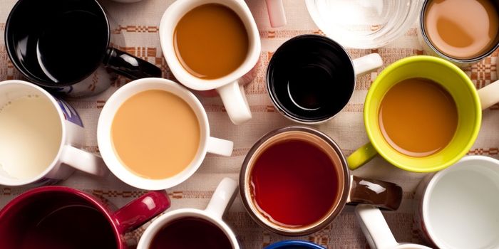 Fancy a cuppa? Scientists link black tea with weight loss