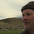 Kerry farmer offers €2K for information leading to the return of his 60 sheep