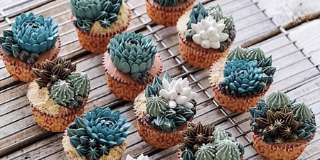 Cactus cakes are trending and they are EVERYTHING