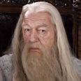 The new Dumbledore in Fantastic Beasts has been revealed