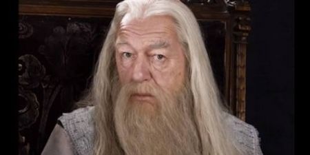 The new Dumbledore in Fantastic Beasts has been revealed