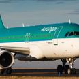 Love to travel? Aer Lingus is hiring for a number of cabin crew roles in Cork and Dublin