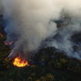 This video of gorse fires in Howth is terrifying