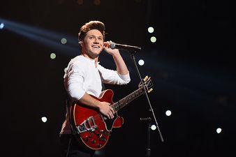 Attention: Niall Horan has revealed his ‘type’ of woman