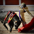 Matador ‘trips on his cloak’ and is fatally gored during a French bullfight