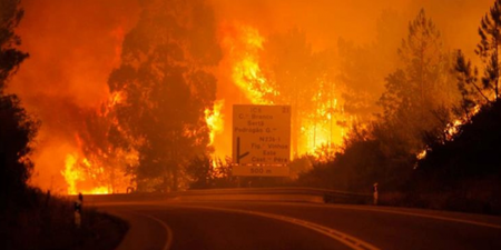 ‘The greatest tragedy of recent years:’ Forest fires in Portugal kill 60