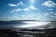 Bathers warned to beware of dangerous jellyfish spotted in Dublin