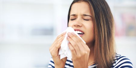 The one (easy) thing you can do to prevent hay fever