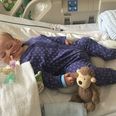 Yes we were all part of the mob… but Charlie Gard leaves behind no winners