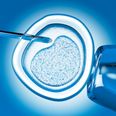 Report claims DNA in human embryos modified for first time
