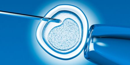 Report claims DNA in human embryos modified for first time