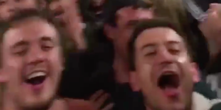 This incredible singalong on a packed DART is why it’s great to be Irish