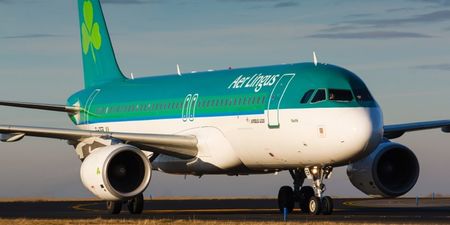 A ‘drunk’ dad had to be tied to his seat on an Aer Lingus flight from Florida to Dublin