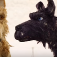 The Isle of Dogs movie trailer is equal parts confusing and cute