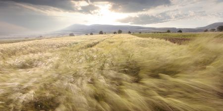 Met Éireann has issued a weather warning for six counties