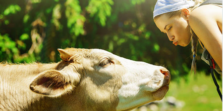 What this Cork farmer did to save her cows is beyond cute