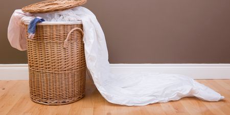 Keeping dirty laundry in your room could lead to a very icky problem