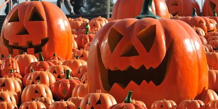 This Irish city is one of the best places in the world to celebrate Halloween